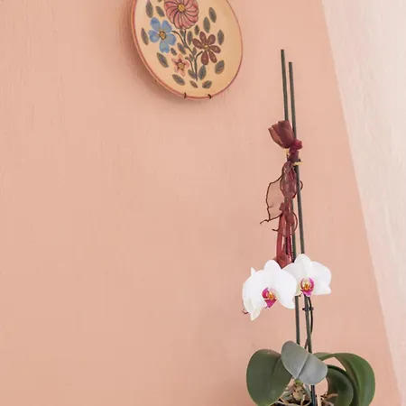 Regina's House * Skopelos Town