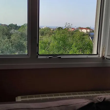 Regina's House
