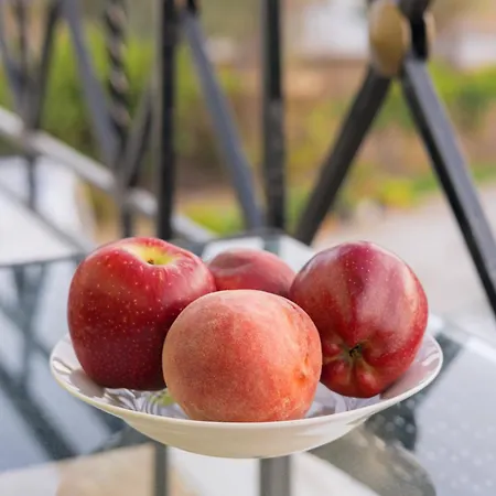 Tatil Evi Regina's House